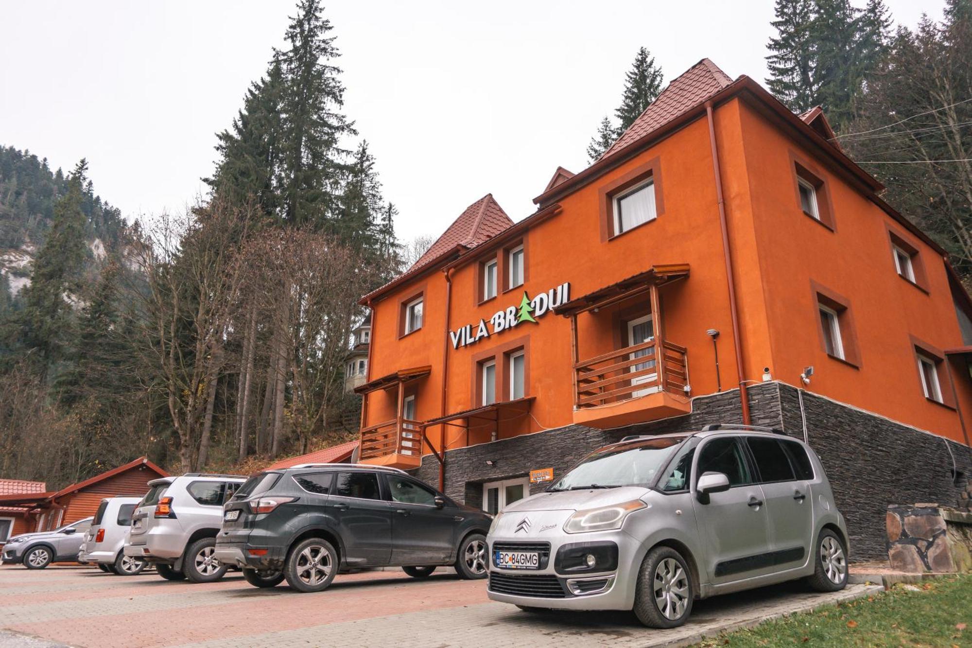 Vila Bradul Лаку-Рошу Екстер'єр фото
