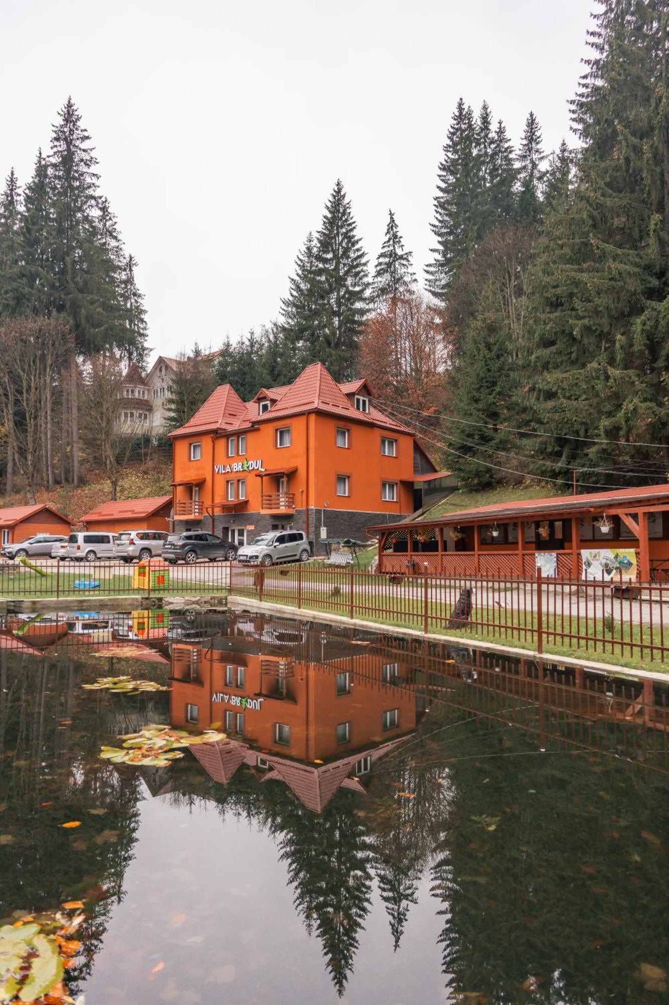 Vila Bradul Лаку-Рошу Екстер'єр фото