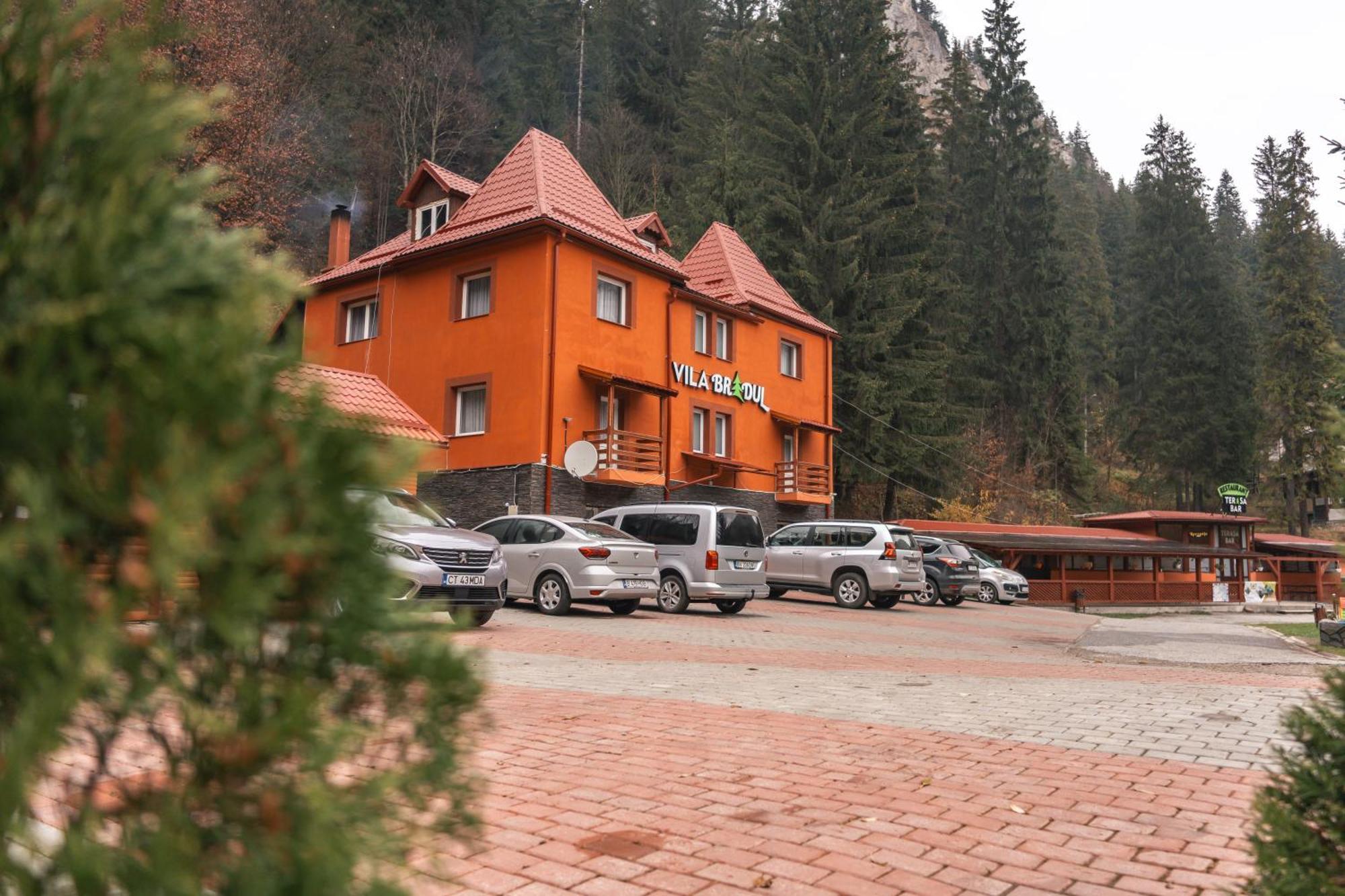 Vila Bradul Лаку-Рошу Екстер'єр фото