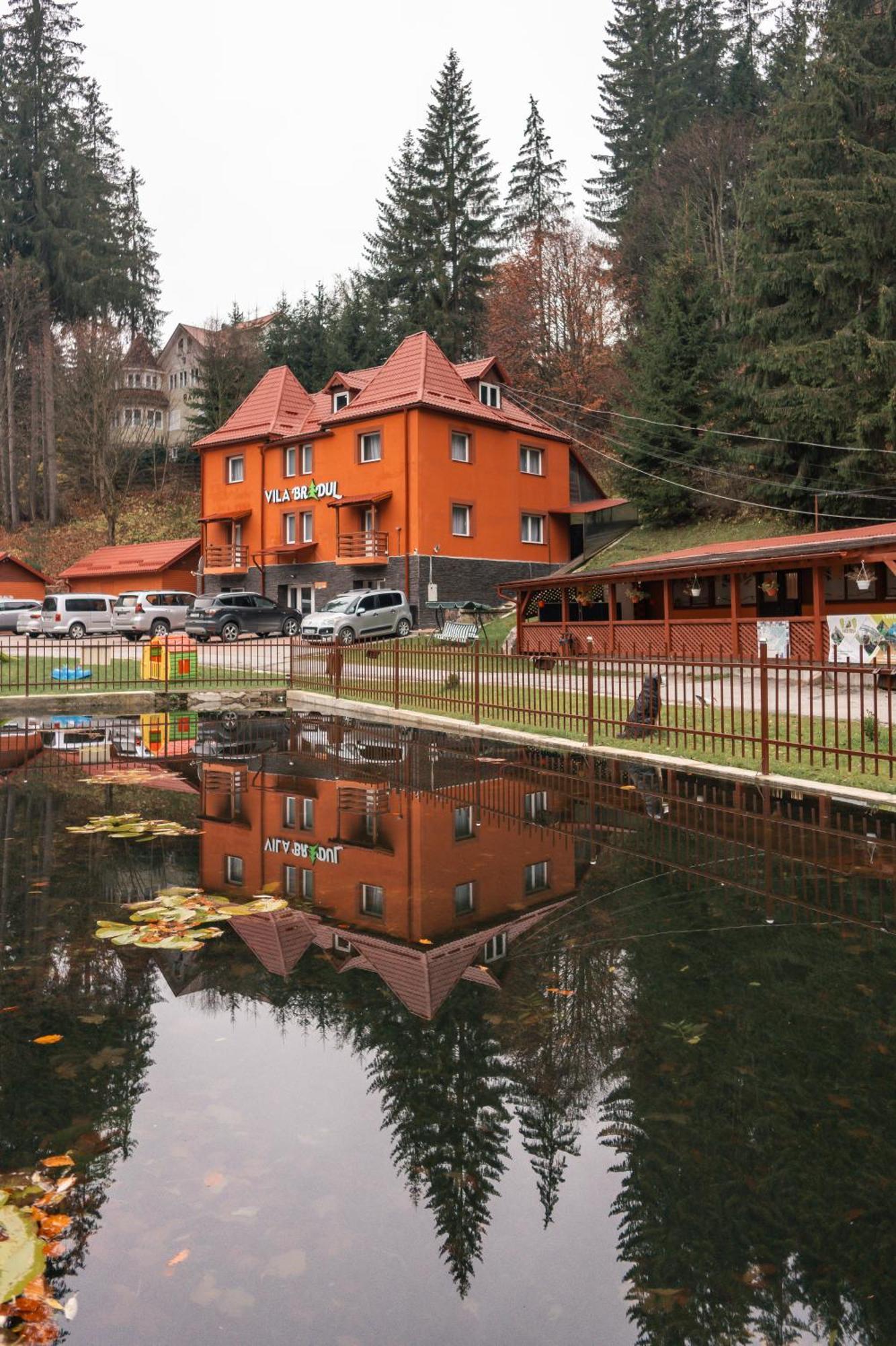 Vila Bradul Лаку-Рошу Екстер'єр фото